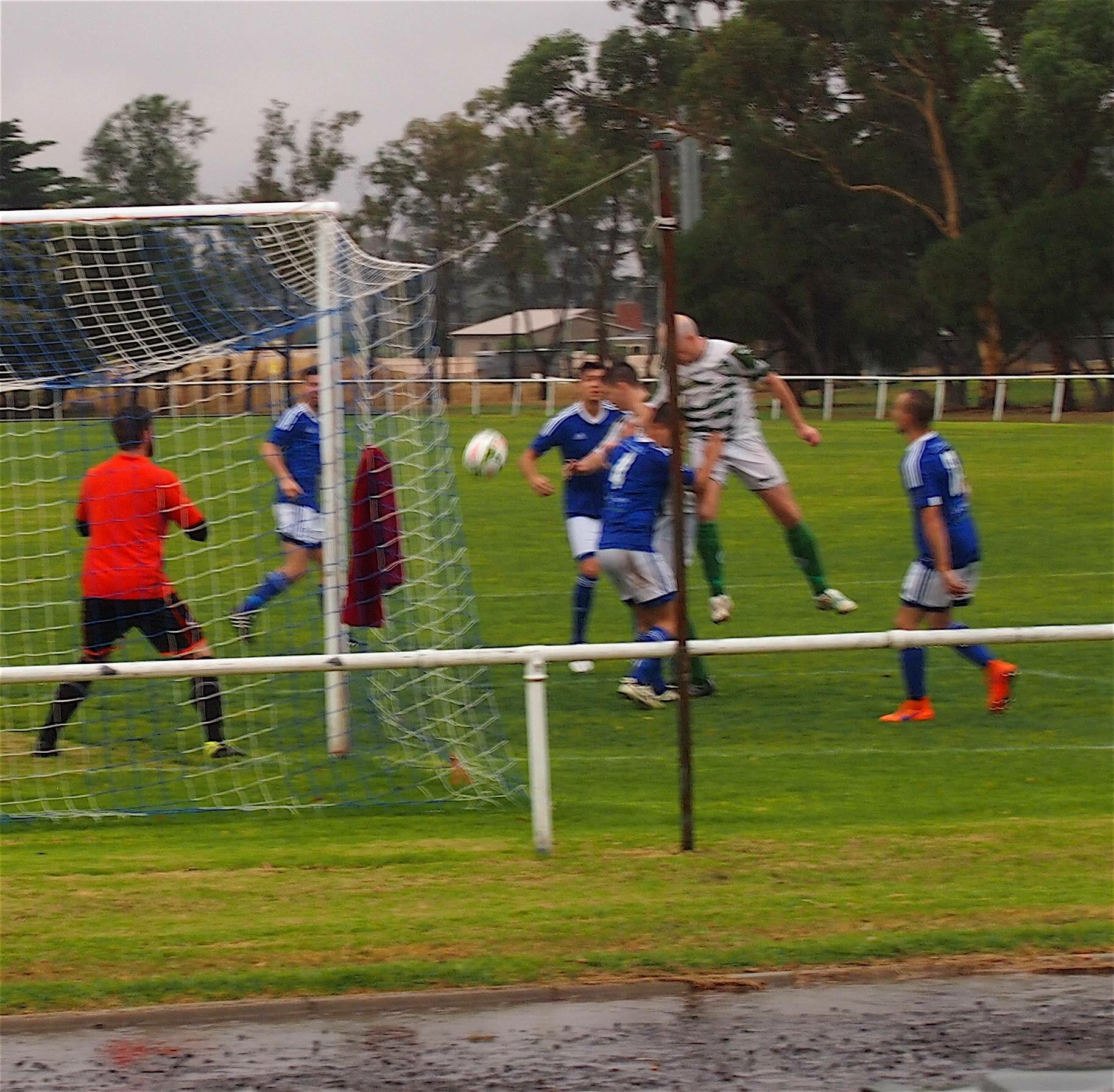 Golden Plains wins last place in Geelong Community Cup finals